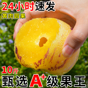 黄肉圆果叁心人生5|10斤云南石林人参果水果新鲜|包邮🍬|树上熟特大果